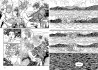Strangers in Paradise 4