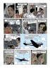 Don – 1. Palomita Paloma